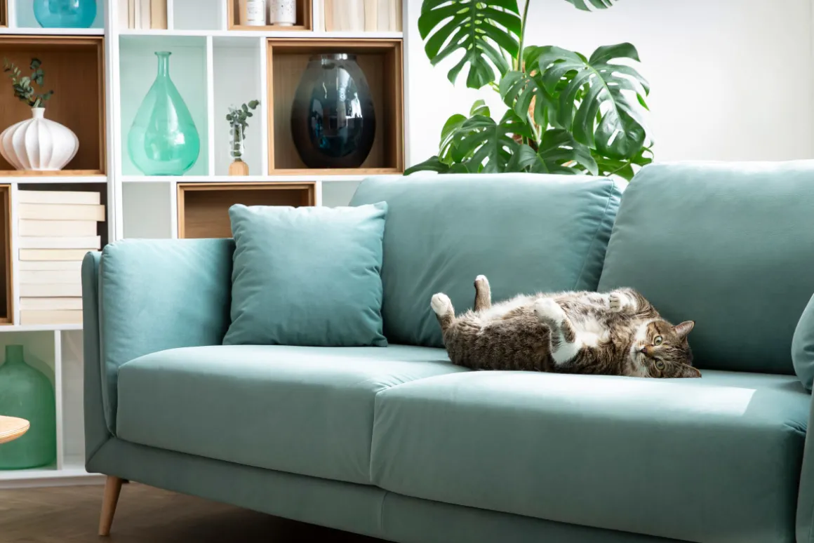 Miliboo Canapé Design|Voir Tous Les Canapés-Canapé scandinave 3 places en tissu gris clair et bois clair VOGUE