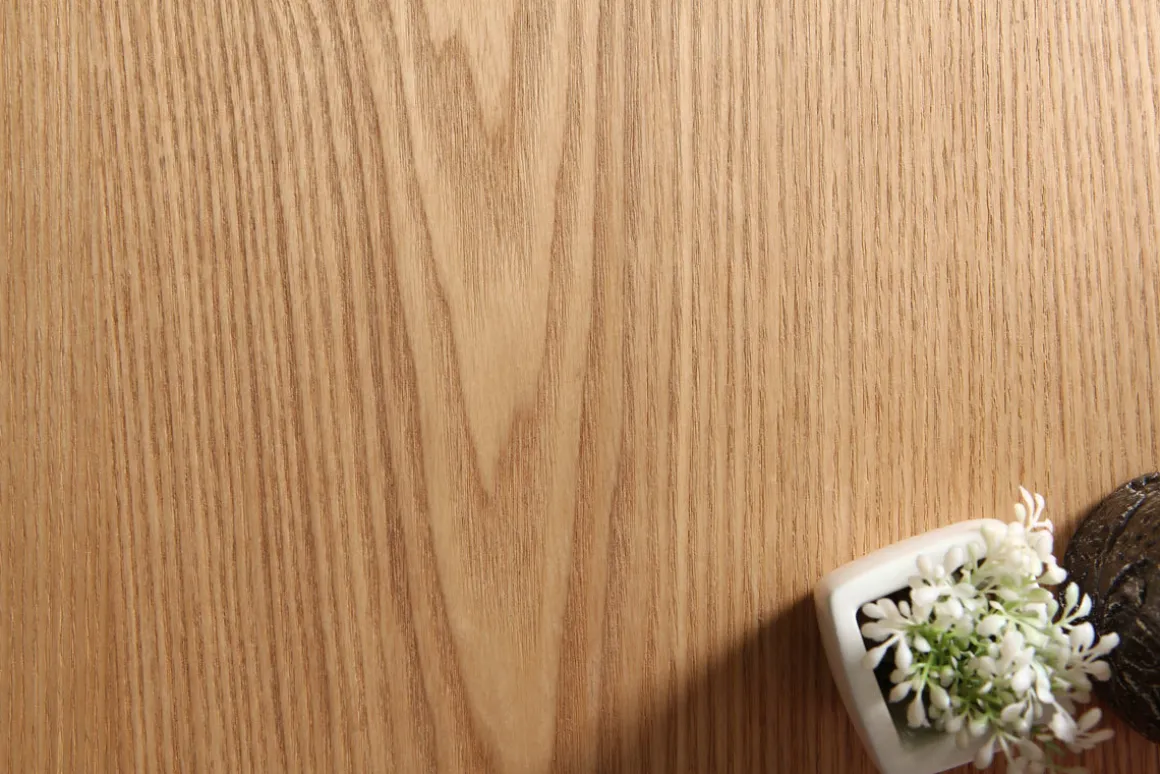 Miliboo Table À Manger Fixe-Table à manger ronde frêne D120 cm LIVIA